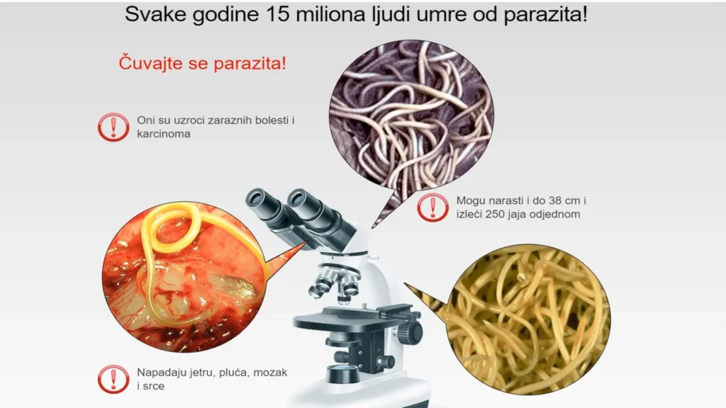 Parazol gde kupiti - u apotekama - cena - Srbija - zvaničnom sajtu